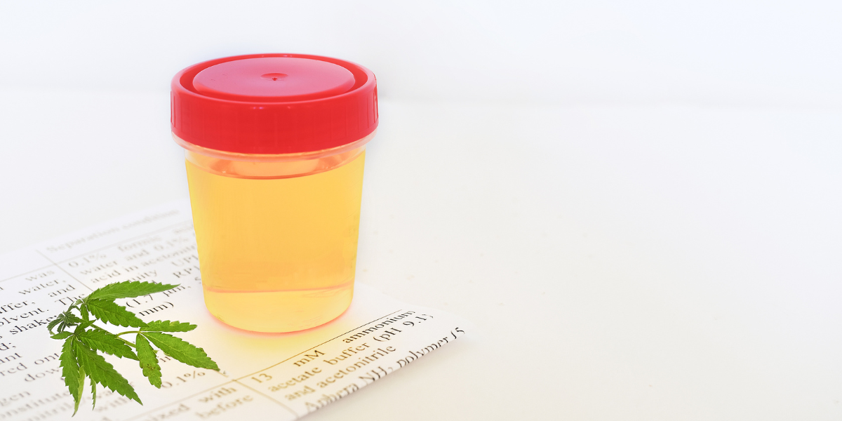 Pre-employment Drug Testing: An Overview of THC Exclusion Testing 